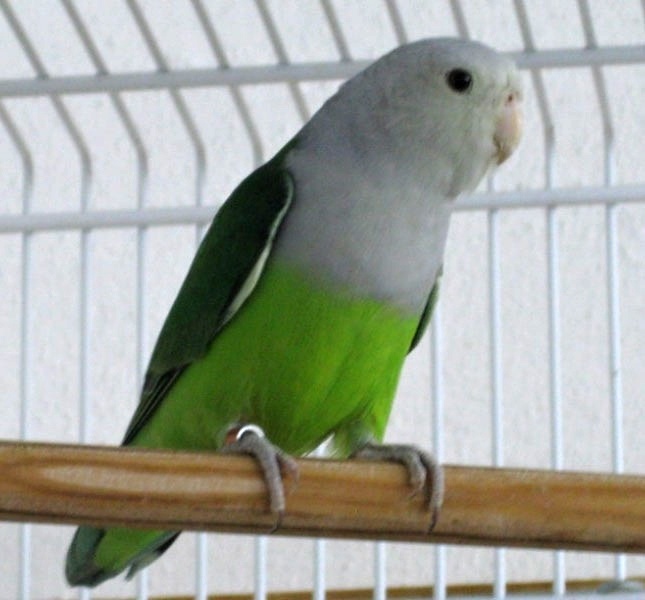Foto 5